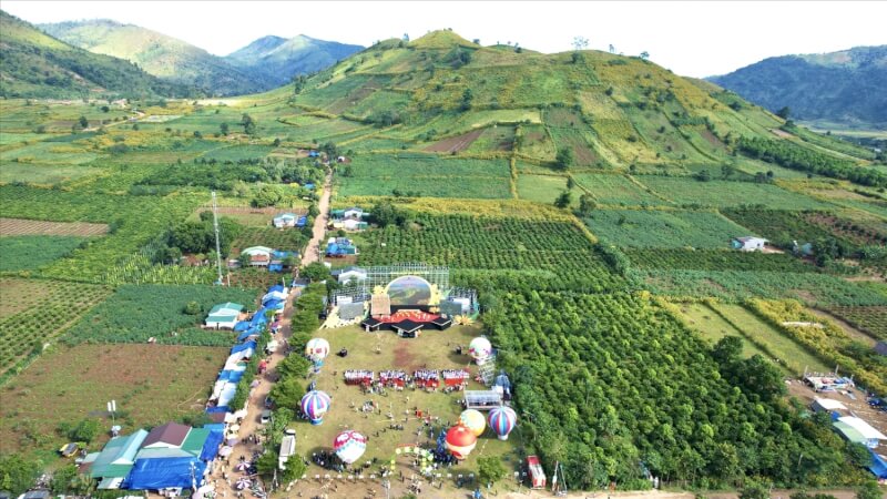 야생화축제 & 문화유산축제