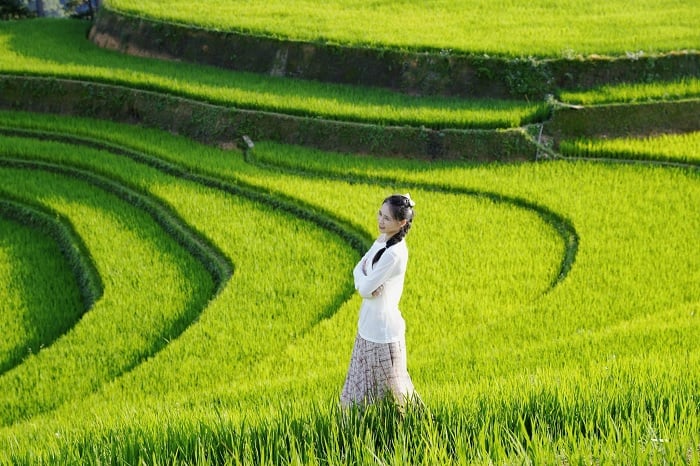 Đồi Móng Ngựa