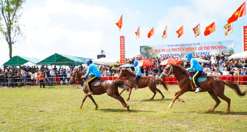 GO THINH HORSE RACING FESTIVAL