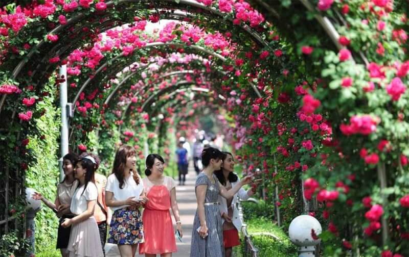 Rose Park