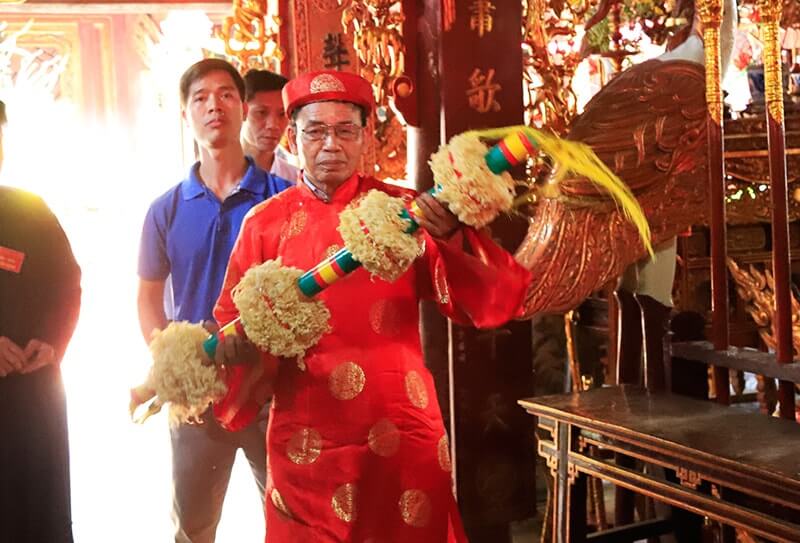 Cotton Bracing Festival