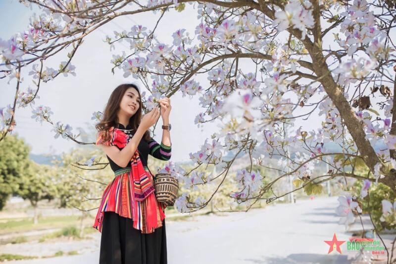 ディエンビエンフラワーフェスティバル2026