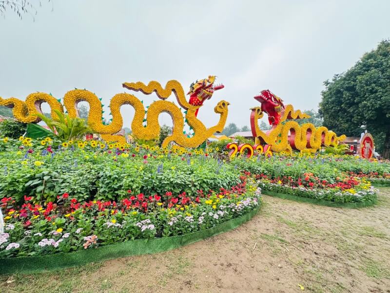 タンロン城塞のテトフラワーストリート