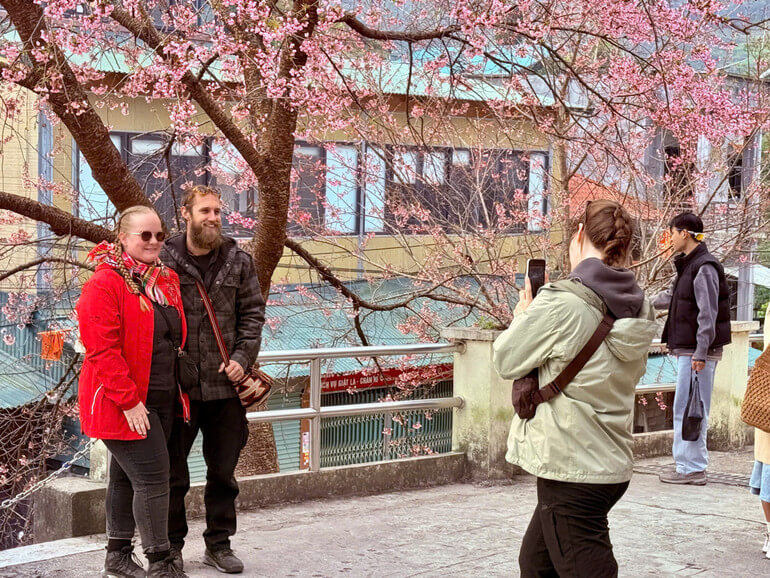 Cherry blossom festival