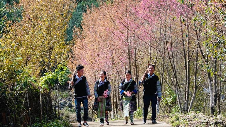 ケンモンフェスティバル、ホアトシックフェスティバル