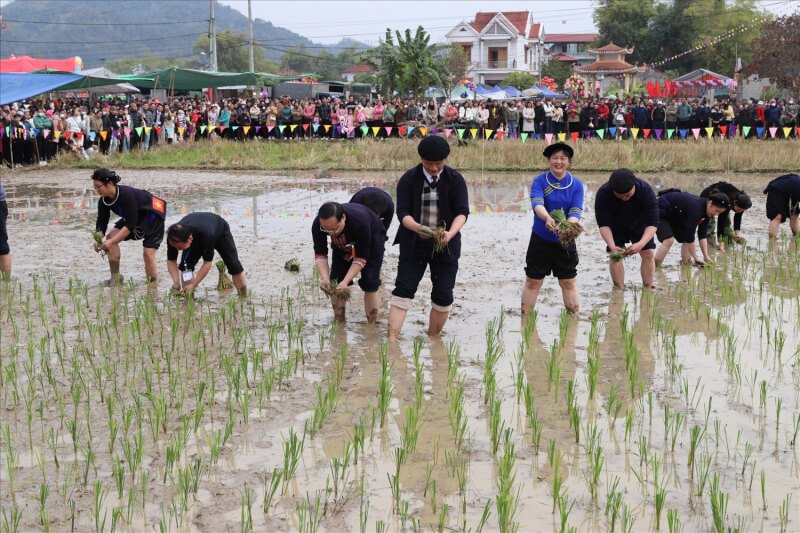 バーンカムフェスティバル