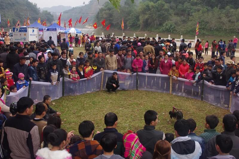 Dai Cai temple festival