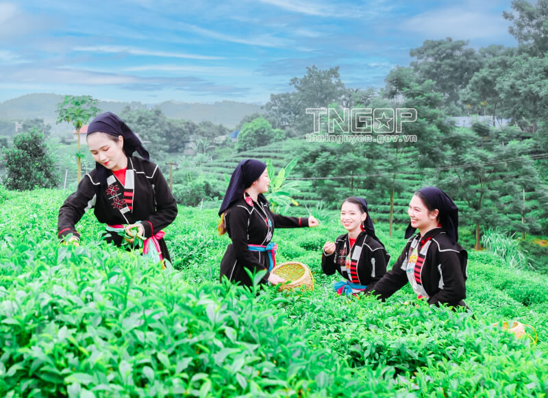 2025년 소수민족 문화전통예술교류축제