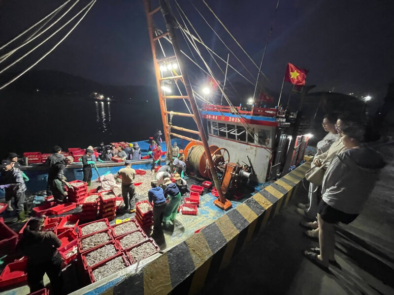 クアローフェスティバル 2026