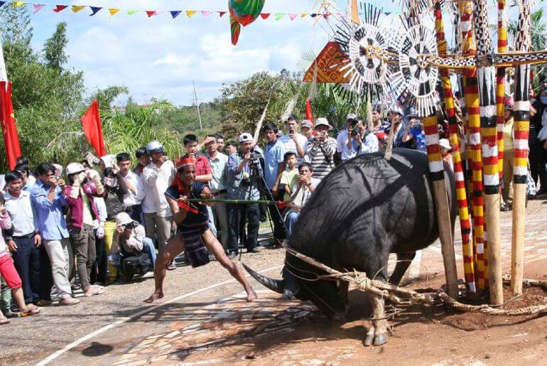 Lễ hội đâm trâu của người Bana