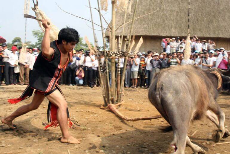 Lễ hội đâm trâu của người Bana