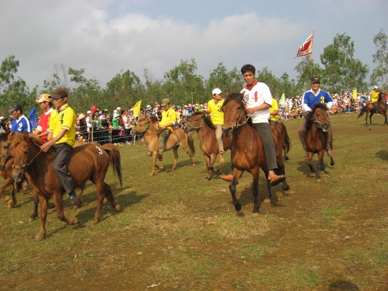 GO THINH HORSE RACING FESTIVAL