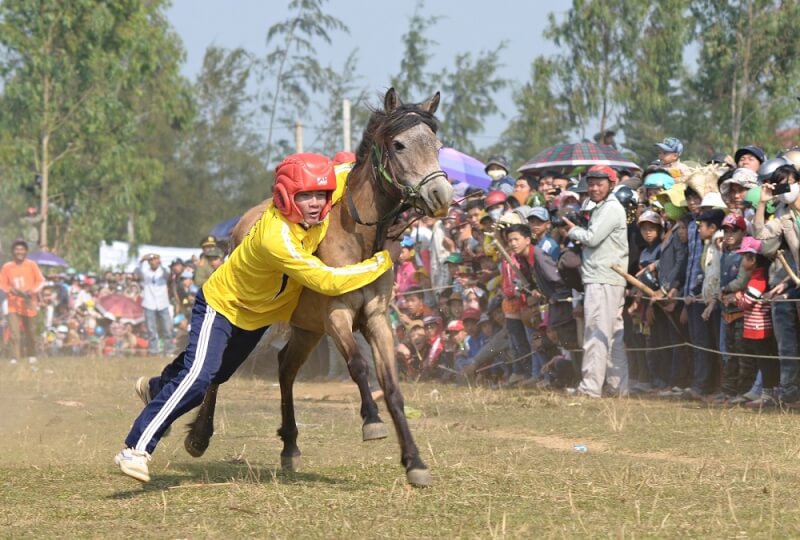 GO THINH HORSE RACING FESTIVAL