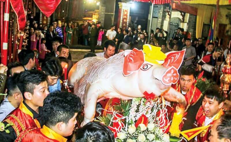 Bo pig procession festival