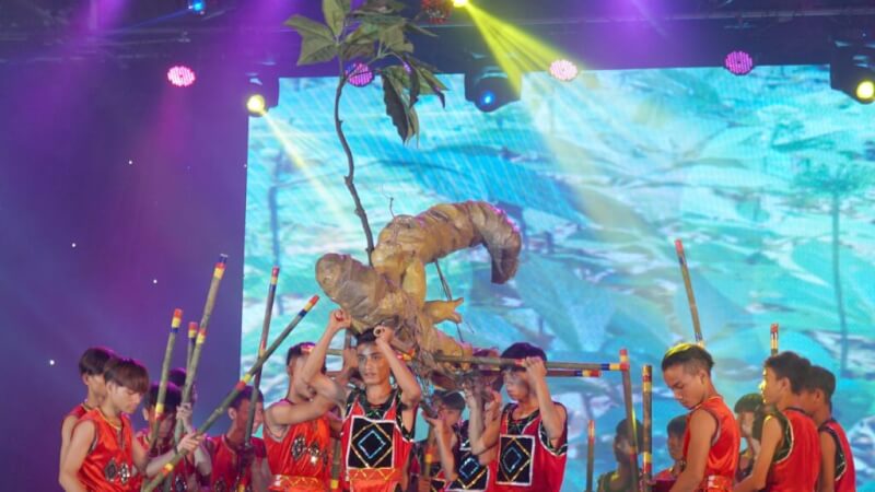 International Ngoc Linh Ginseng Festival