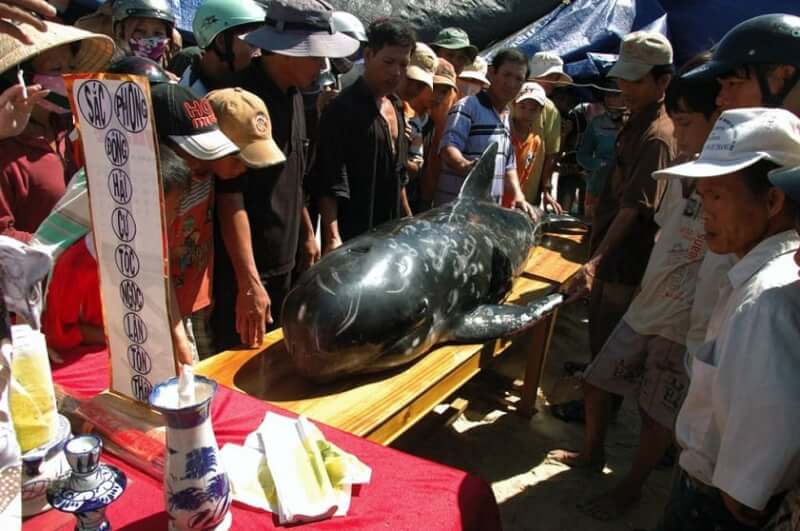 オング魚崇拝祭