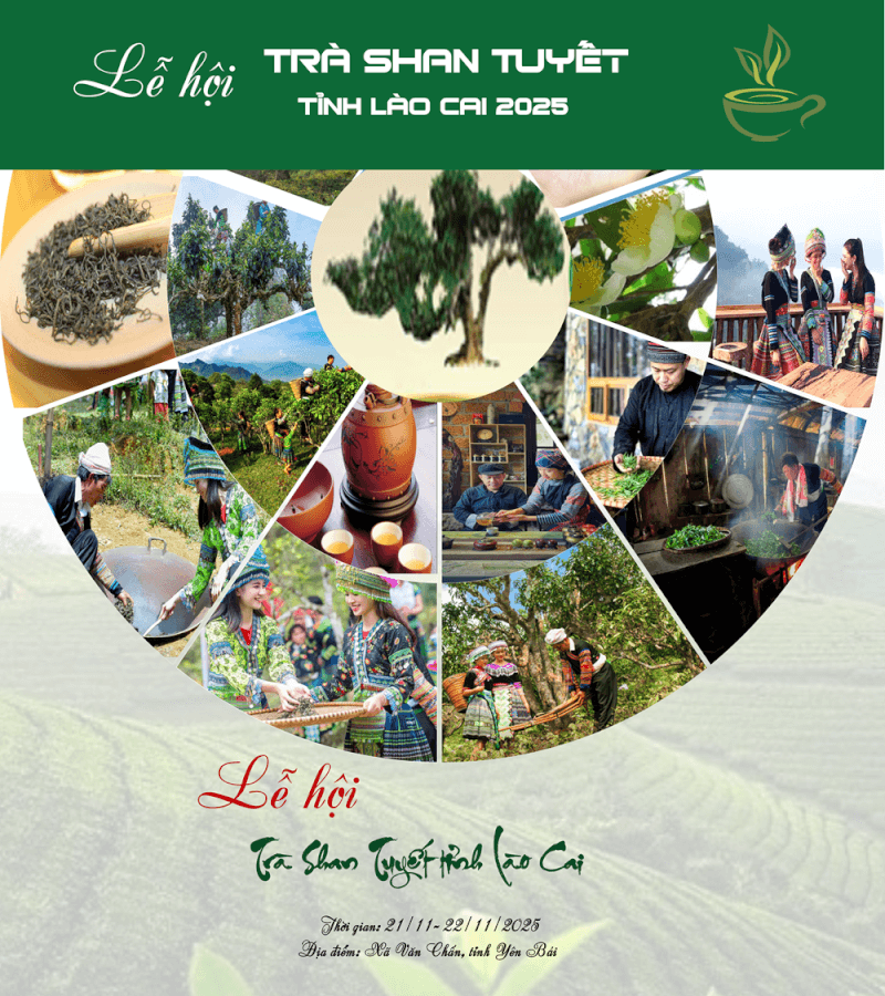 Lễ hội Trà Shan tuyết