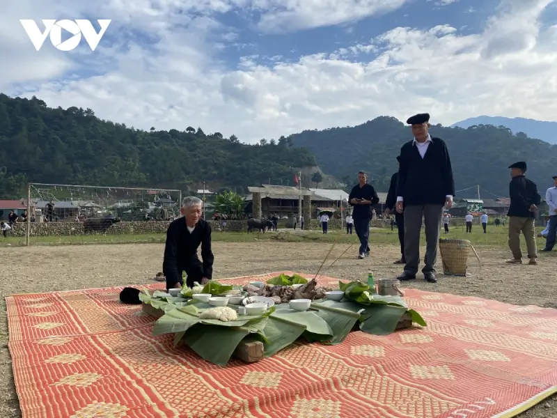 Lễ hội chọi trâu Sơn La