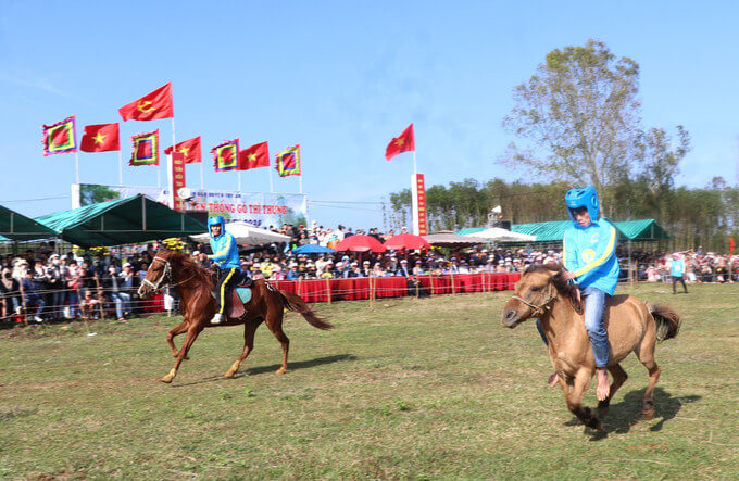 GO THINH HORSE RACING FESTIVAL