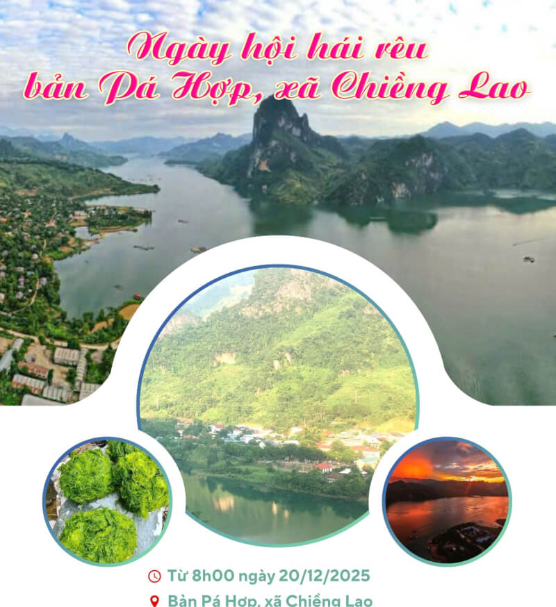 2025年第一届采苔节