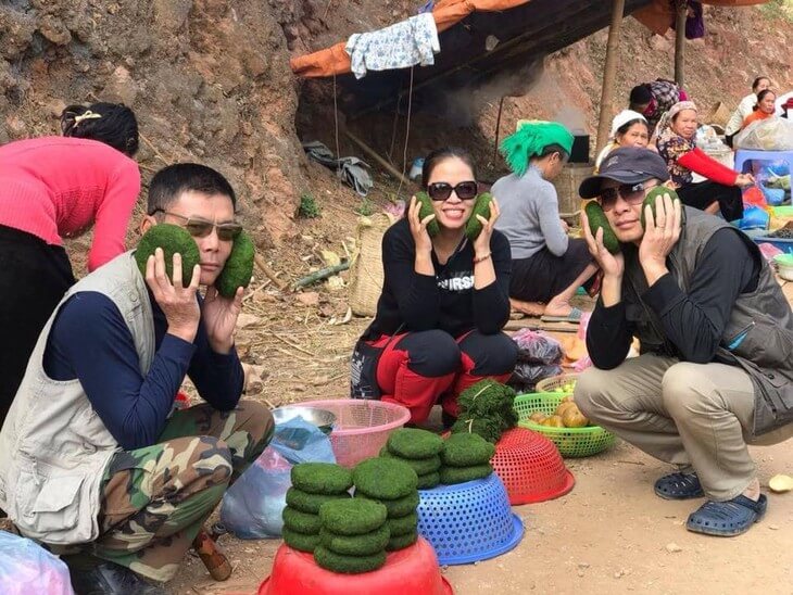 2025年第一届采苔节