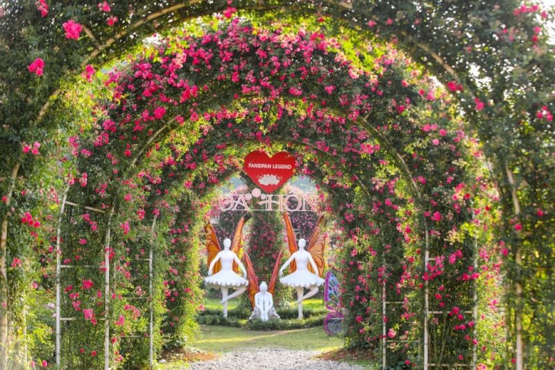 Lễ hội hoa hồng Sapa 2026