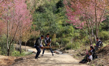 ケンモンフェスティバル、ホアトシックフェスティバル