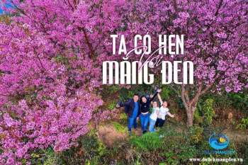 Chuỗi lễ hội chào năm mới 2026