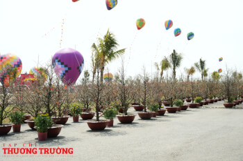 Lễ hội trong lễ hội