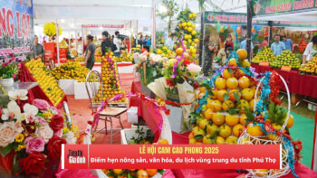 2025 까오퐁 오렌지 페스티벌