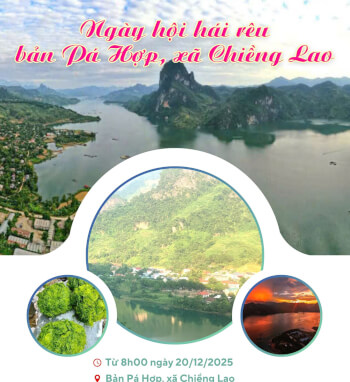 2025年 第1回苔むし祭り