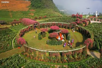 Lễ hội hoa hồng Sapa 2026