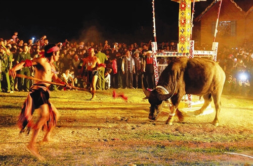Lễ hội đâm trâu của người Bana