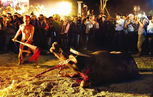 Lễ hội đâm trâu của người Bana