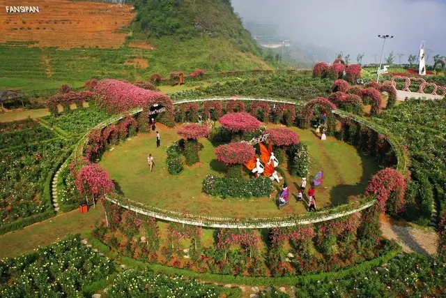 Lễ hội hoa hồng Sapa 2026