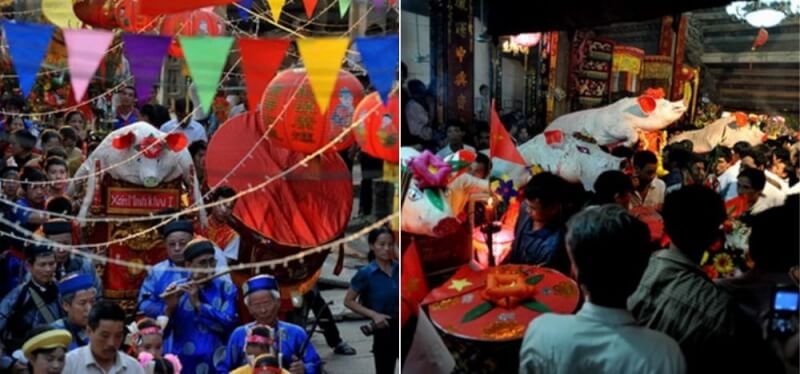 Bo pig procession festival