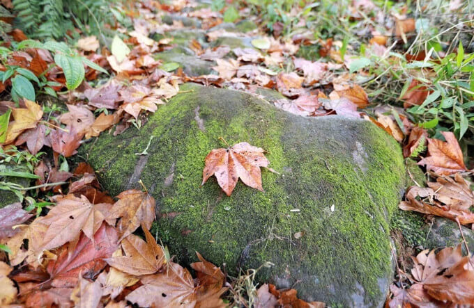 パヴィエ古代の石造りの道