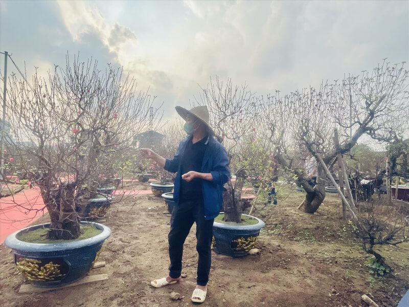 Lễ hội “Đào Nhật Tân – Sắc xuân Hồng Hà”