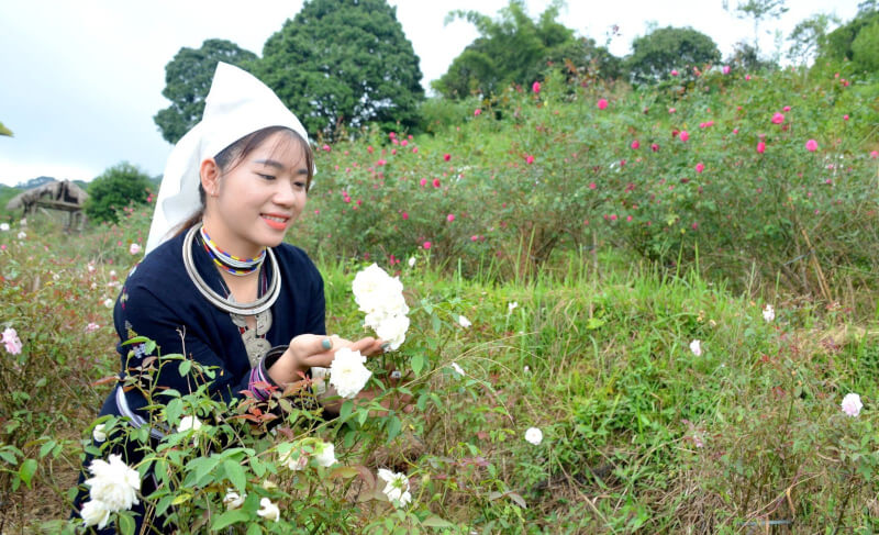 考庄村社区旅游站点