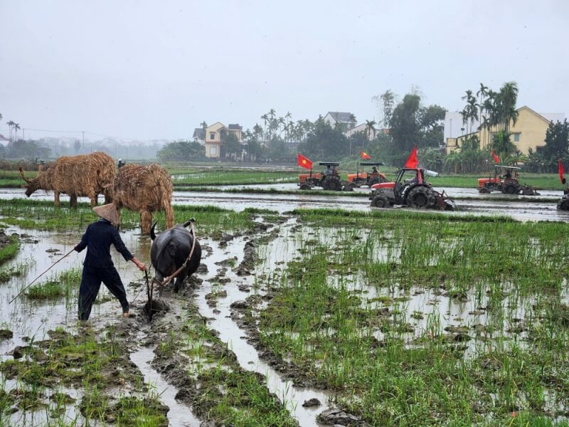 Hoi An Dong Dong Dong Festival 2026