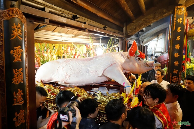 Festival procession of "man pig" in La Phu village
