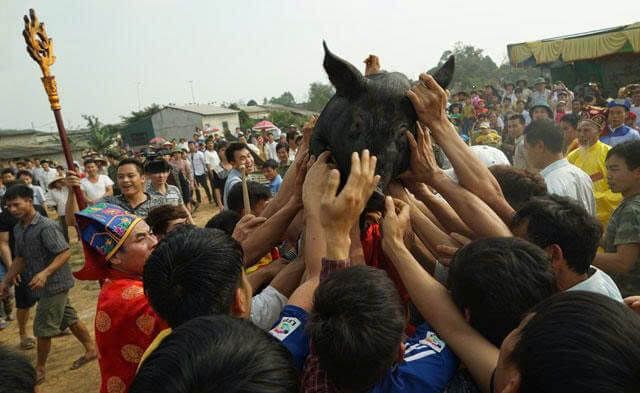 Lễ hội bắt lợn Ông Cầu