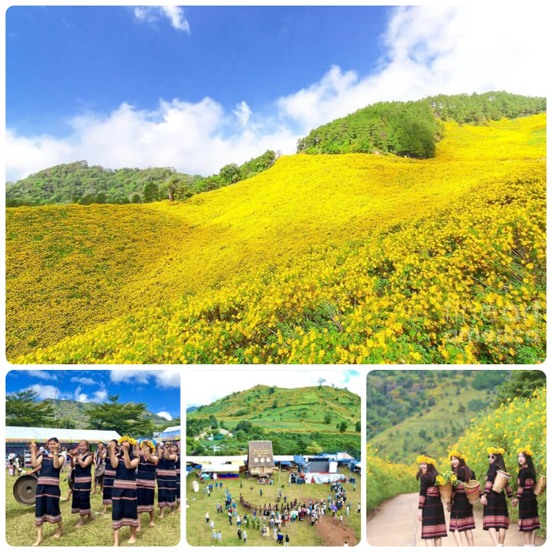 Lễ hội hoa dã quỳ Gia Lai - Sắc vàng mời gọi bước chân người lữ khách