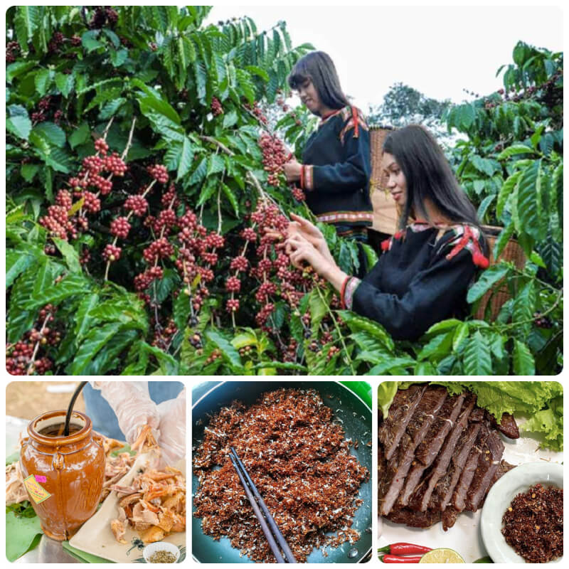 DU LỊCH GIA LAI: MUA GÌ VỀ LÀM QUÀ?