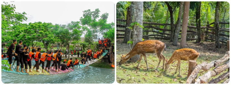 Ngoài ra, vườn thú hoang dã