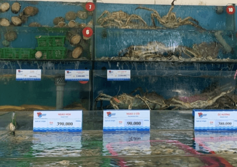 Đột Nhập Vựa Hải Sản 30 Năm Tuổi Giữa Lòng Phố Cổ Hà Nội