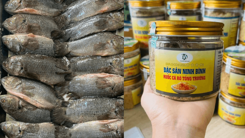 loài cá tiến Vua huyền thoại này sở hữu thớ thịt săn ngọt đặc biệt