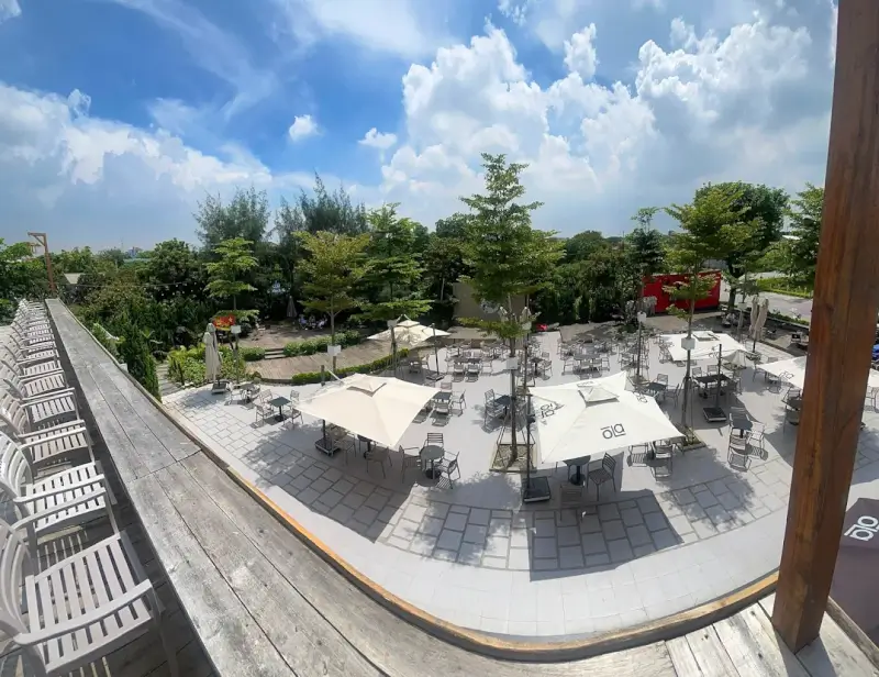 Đắm Mình Trong Không Gian Tinh Khôi Của OLA Kafé & Tea Ngày Cuối Tuần