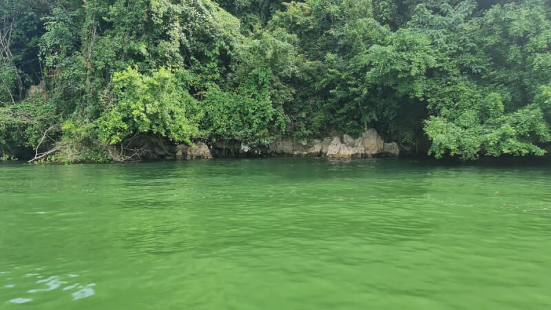 Hồ Ba Bể bình yên, dịu dàng2