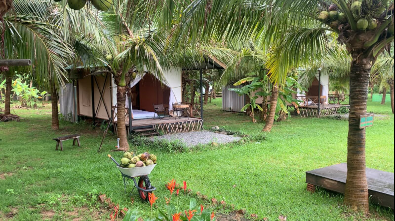 Vườn Sinh Thái Lối Xưa: Chốn Bình Yên Hơn 2ha Tuyệt Đẹp Tại Lăng Cô